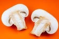 Close up photo of champignon mushrooms on orange background. Mushroom cut in half, inside, macro view Royalty Free Stock Photo