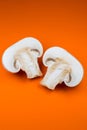 Close up photo of champignon mushrooms on orange background. Mushroom cut in half, inside, macro view Royalty Free Stock Photo