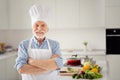 Close up photo cheer grey haired he his him grandpa hands arms crossed master class ready making favorite dish self