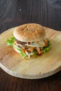 A Close Up Photo of Chicken Burger.