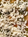 Close up Chicken Tacos Topped With Feta Cheese