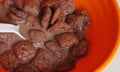 Close up photo of chocolate cornflakes dipped in chocolate milk in with spoon Royalty Free Stock Photo