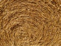 Close-up of Circular Straw Bale in Field