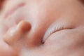 Close-up photo of closed eye of sleeping newborn baby girl. Royalty Free Stock Photo
