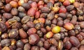 close-up photo, the coffee cherries that are being dried in the sun during the day are perfectly dry Royalty Free Stock Photo
