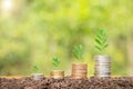 close-up photo of coin green bokeh background finance and money business concept Save money to prepare for the future. a tree Royalty Free Stock Photo