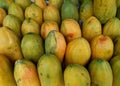 Close-up photo of a collection of papayas neatly arranged in a fresh fruit market. Royalty Free Stock Photo