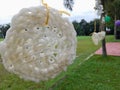 Close up photo of crackers tied with rope, for the 17 August cracker eating competition Royalty Free Stock Photo