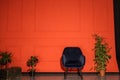 close up photo of a dark blue velvet armchair near a red wall in a room with plants Royalty Free Stock Photo