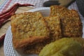 Close up photo of delicious Asian food, the Indoensian food gorengan: fried tempe or tempeh