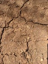 Close-up photo of dry soil texture background for climate change and environmental damage background. Royalty Free Stock Photo