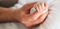 Close up photo of father holding newborn baby hand Royalty Free Stock Photo