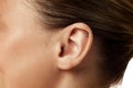 Close up photo of female ear with piercing against white studio background. Plastic injury. Body parts. Royalty Free Stock Photo