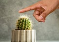 Close up photo of finger touching cactus needle. Concept of tactile or touch sense