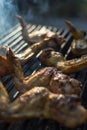 Close-up photo of food preparing barbeque