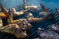 Close-up photo of food preparing barbeque