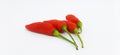 Close-up photo of four spicy red chilies on a white background