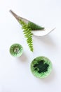 Close up photo of fresh aloe plant leaves, bath salt and spirulina powder on white background. Concept for spa, beauty and health Royalty Free Stock Photo