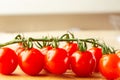 Red raw tomatoes looking tasty and clean on their branch