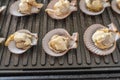 Close up photo of fresh scallops on electric grilling pan