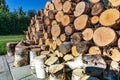 Close up photo of fresh stacked short birch wood logs on barbeque spot, garden. Birch logs harvested to be used for grilling.