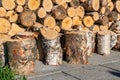 Close up photo of fresh stacked short birch wood logs on barbeque spot, garden. A lot of birch logs harvested to be used for