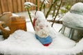Close-up view of Garden gnome covered in snow