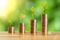 Close up photo of glass jae full of coins and growing plant inside as a symbol of invest or funding in business. Royalty Free Stock Photo