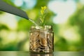 Close up photo of glass jae full of coins and growing plant inside as a symbol of invest or funding in business. Royalty Free Stock Photo