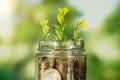 Close up photo of glass jae full of coins and growing plant inside as a symbol of invest or funding in business. Royalty Free Stock Photo