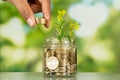 Close up photo of glass jae full of coins and growing plant inside as a symbol of invest or funding in business. Royalty Free Stock Photo