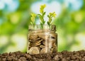 Close up photo of glass jae full of coins and growing plant inside as a symbol of invest or funding in business. Royalty Free Stock Photo