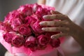 Close-up photo of gorgeous bouquet of pink roses in a hat box. Woman hands with manicure