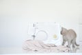 photo of a gray kitten playing near a white sewing machine Royalty Free Stock Photo