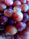 Close-up Photo of group or the grapes Royalty Free Stock Photo