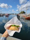 Hoto of hand holding bun with fish and onion, traditional north german healthy fast food with rural bucht on background