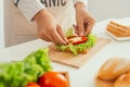 Close up photo of hands holding big tasty sandwich Royalty Free Stock Photo