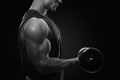 Close-up photo of handsome power athletic man in training pumping up muscles with dumbbell. Strong bodybuilder with perfect Royalty Free Stock Photo