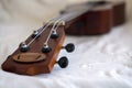 Close up photo of headstock and tuners, part of ukulele on white background