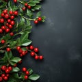Holly Branch With Red Berries Close-Up Royalty Free Stock Photo