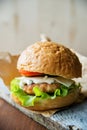 Close-up photo of home made hamburger with beef, onion, tomato, lettuce, cheese and spices. Fresh burger closeup on wooden rustic Royalty Free Stock Photo