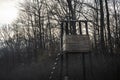 Close up photo of hunting post in the dense forest of Turopoljski Lug, Croatia