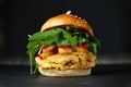 Close-up photo if chickenburger on black background with cheese, bacon, tomatos, green salad and onion