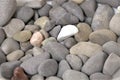 Retro pebbles background texture