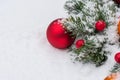 Close-up photo of a large red Christmas toy in the form of a ball and several small ones on a branch of a coniferous tree Royalty Free Stock Photo