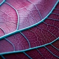Vibrant Close-up: Organic Contours Of Azalea Leaf In Uhd