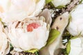 Close-up photo of litle cute white rat in Beautiful Flowering Cherry Tree branches