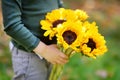 Close-up photo of little boy holding bunch of sunflowers outdoors Royalty Free Stock Photo