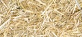 Close up photo of a lot of small straw Royalty Free Stock Photo