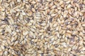 Close up photo malt grains, top view